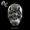GOOD CHARLOTTE GREATEST REMIXES Picture