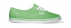 VANS AUTHENTIC LO PRO Kiwi/White Picture